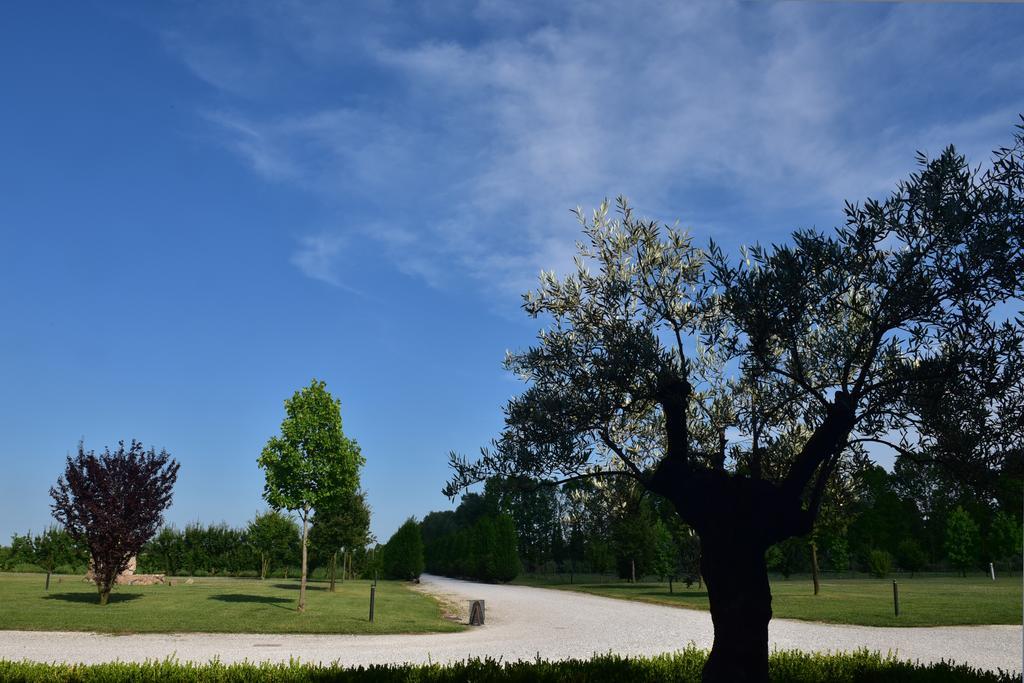 Tenuta Monterosso Feriole Luaran gambar